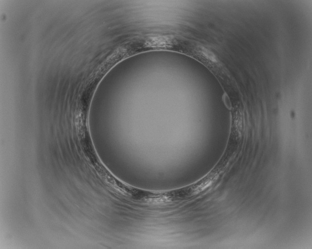 X0000057040322200509091113