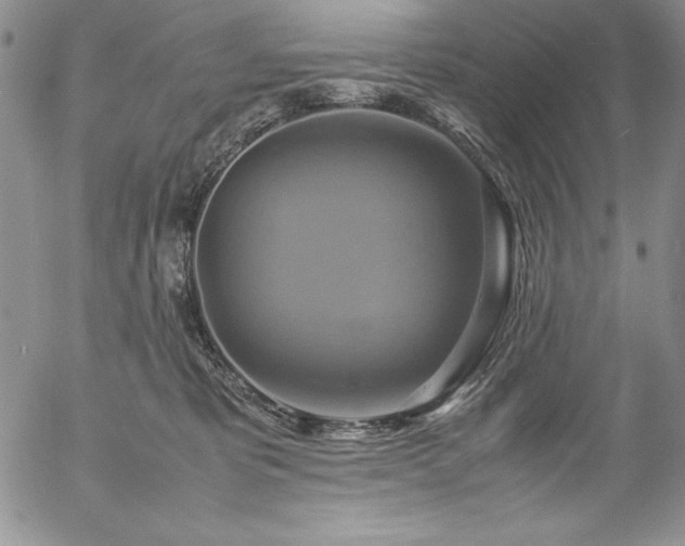 X0000057040325200509091113