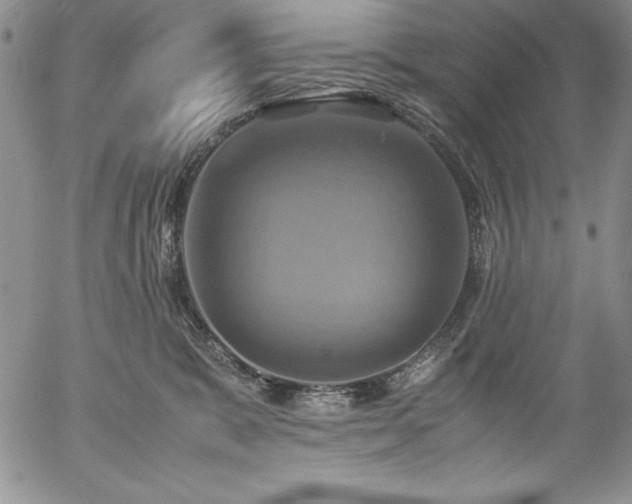X0000057040327200509091113