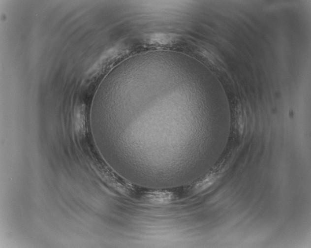 X0000057040328200509091113