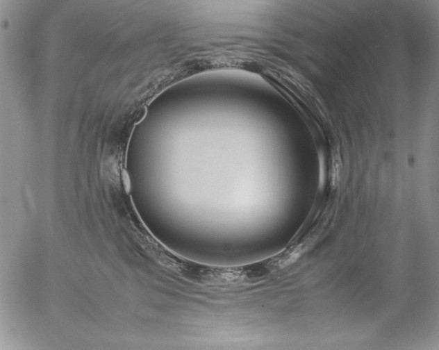 X0000057040329200509091113