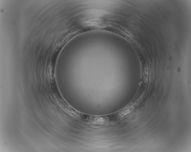 X0000057040330200509091113