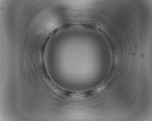 X0000057040331200509091113