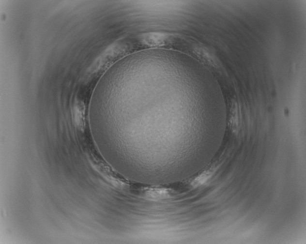 X0000057040332200509091113