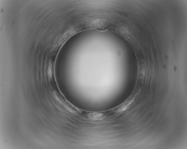 X0000057040334200509091112