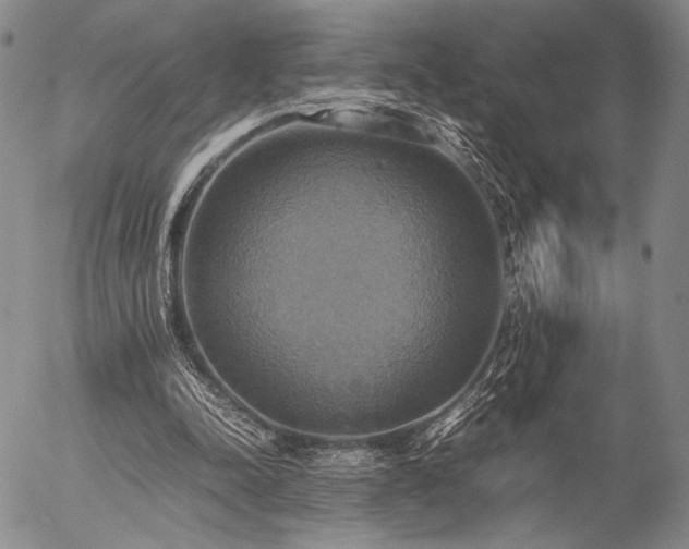 X0000057040342200509091112