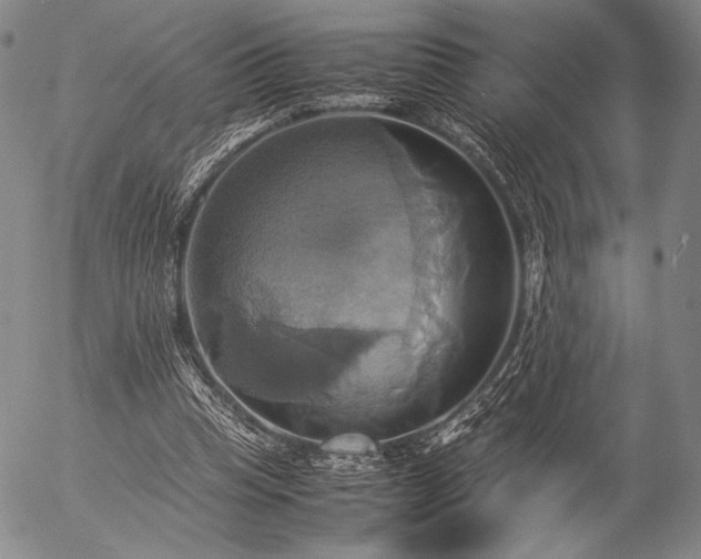 X0000057040345200509091112
