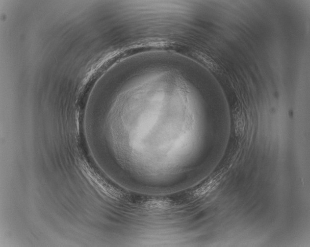 X0000057040350200509091112