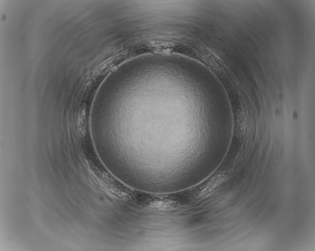 X0000057040364200509091112
