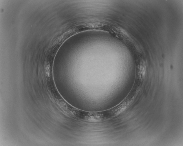 X0000057040368200509091112
