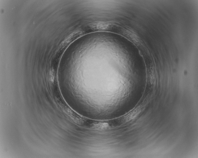 X0000057040374200509091112