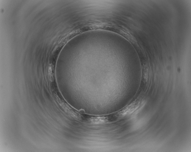 X0000057040378200509091112