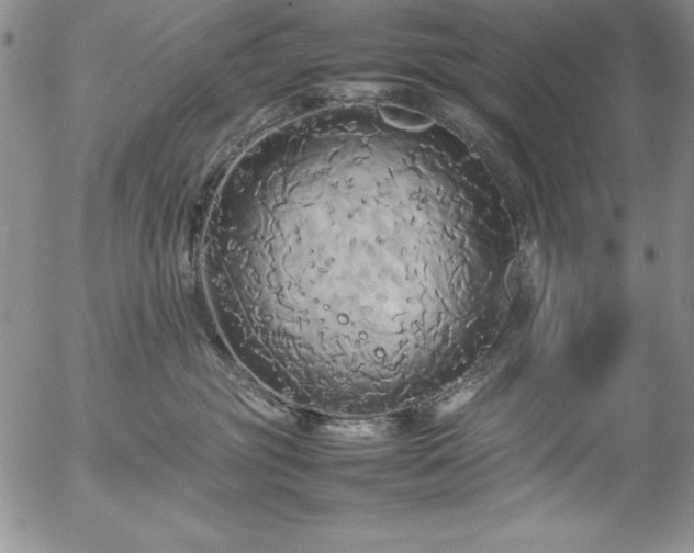 X0000057040381200509091112