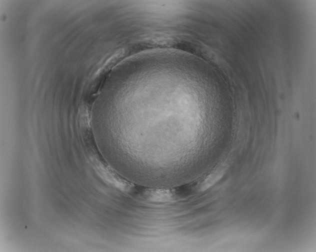 X0000057040384200509091112