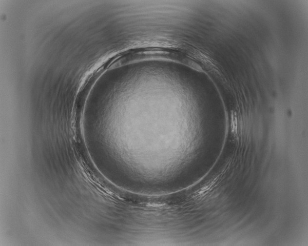 X0000057040388200509091112
