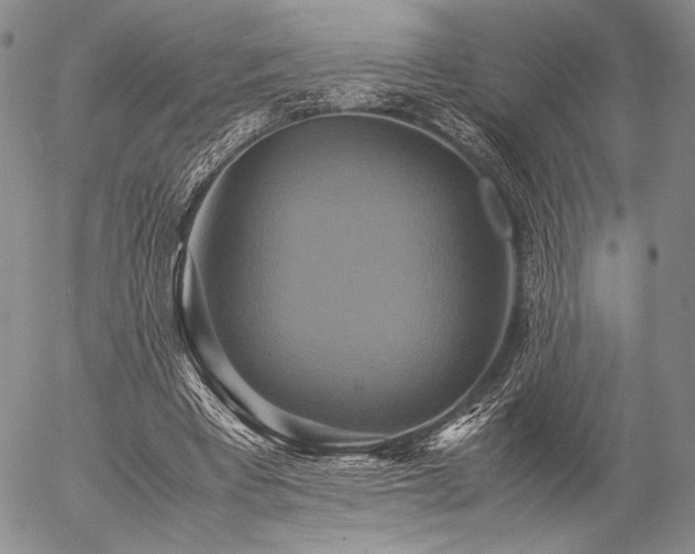 X0000057040393200509091112
