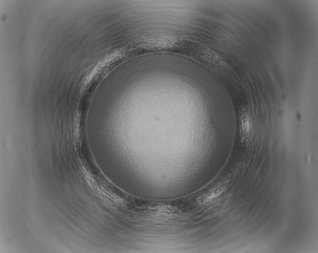 X0000057040396200509091111