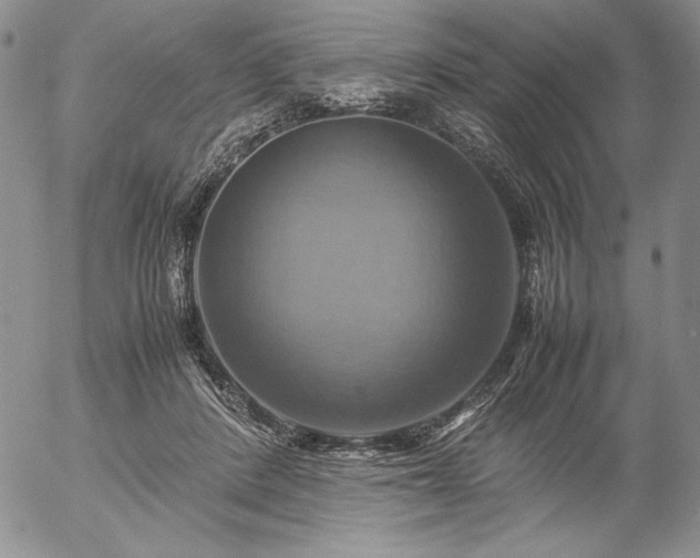 X0000057040408200509091111