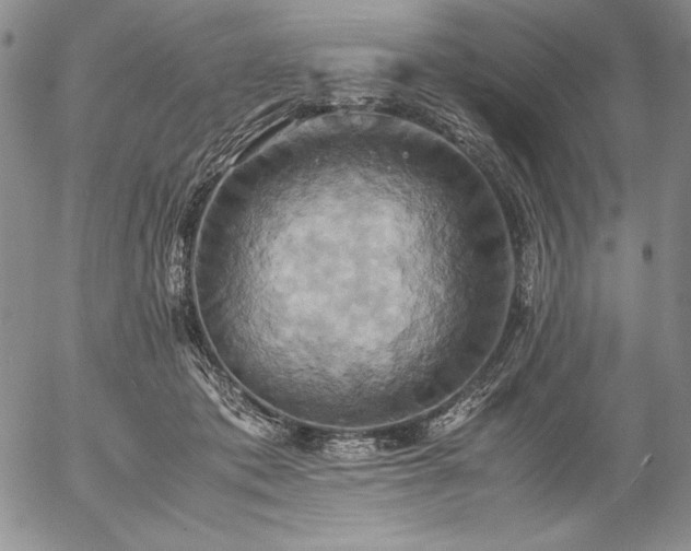 X0000057040413200509091111