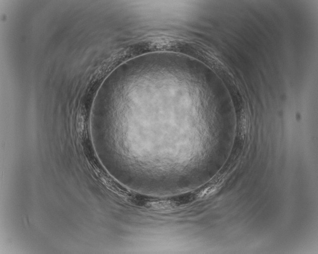 X0000057040417200509091111