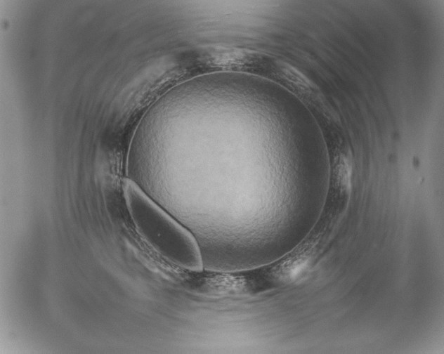 X0000057040421200509091111