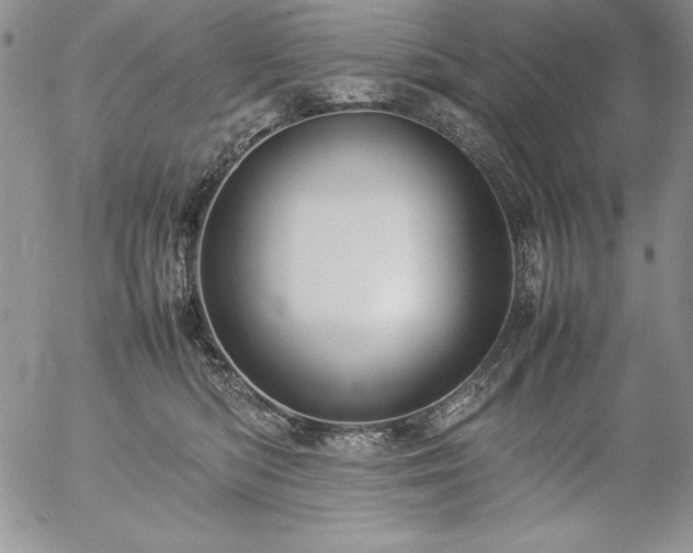 X0000057040422200509091111