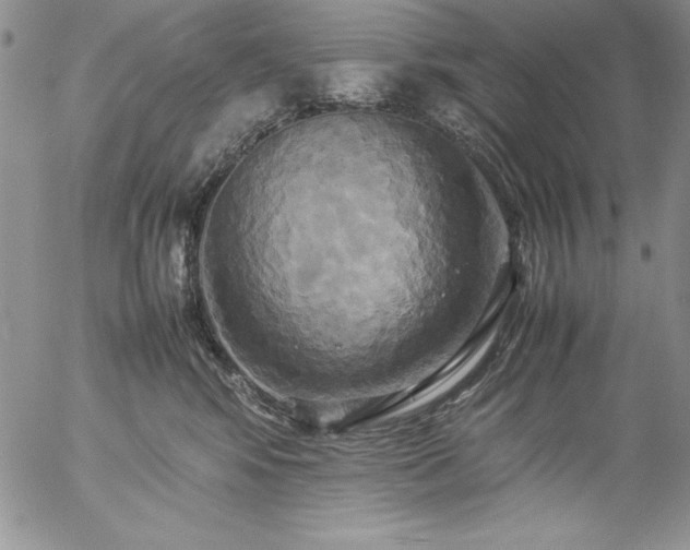 X0000057040424200509091111