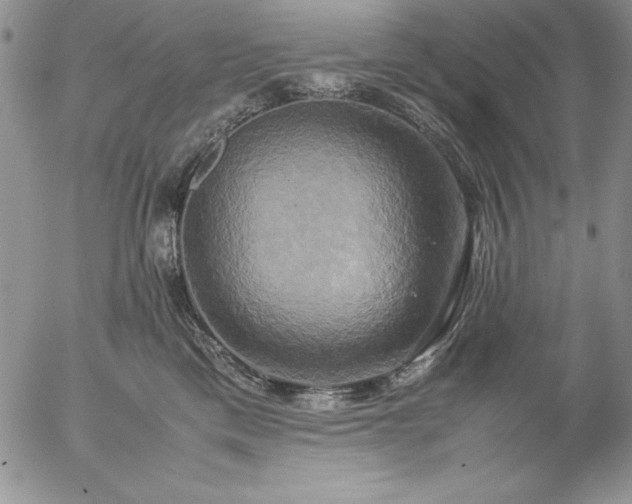 X0000057040425200509091111
