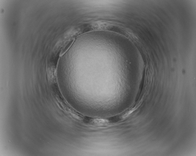 X0000057040429200509091111