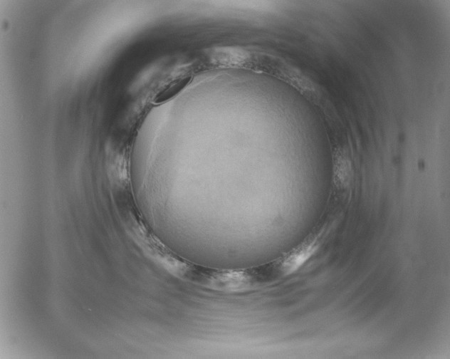 X0000057040431200509091111