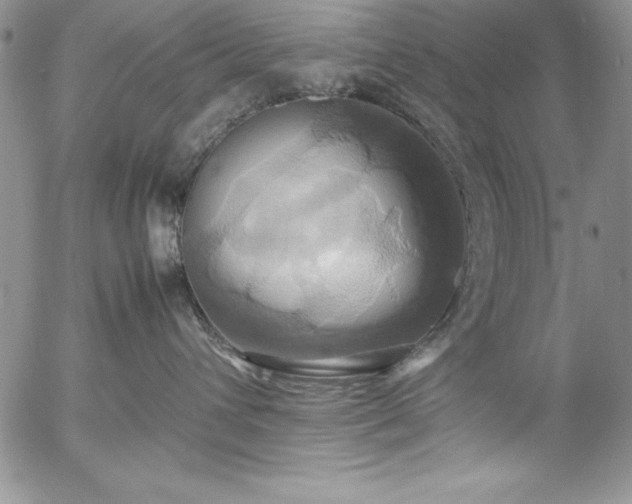 X0000057040432200509091111