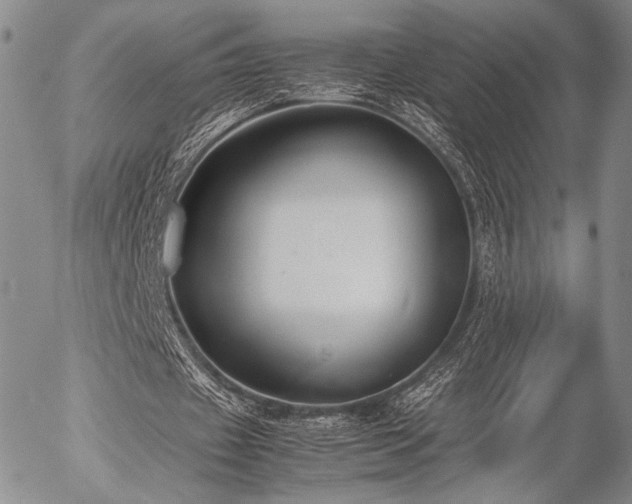 X0000057040433200509091110