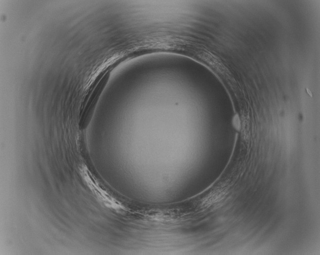 X0000057040434200509091110