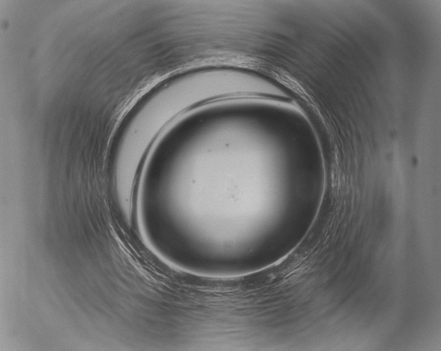 X0000057040436200509091110