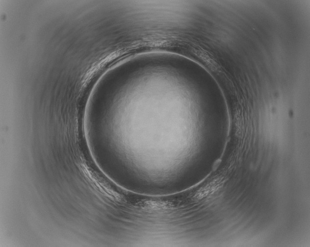 X0000057040442200509091110