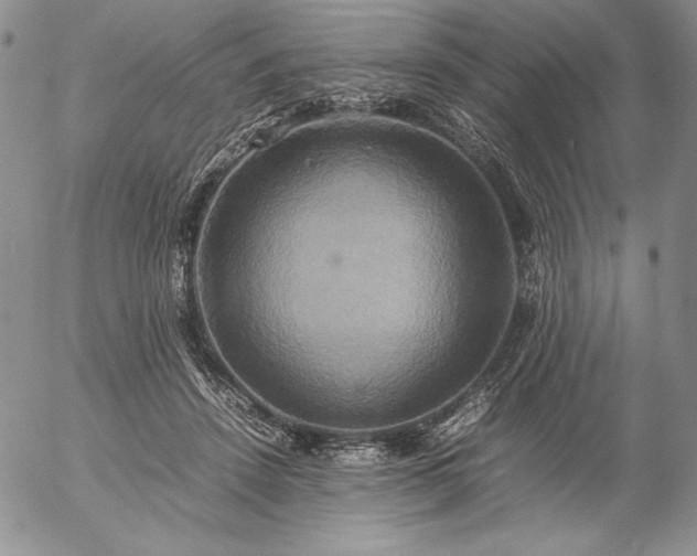 X0000057040456200509091110