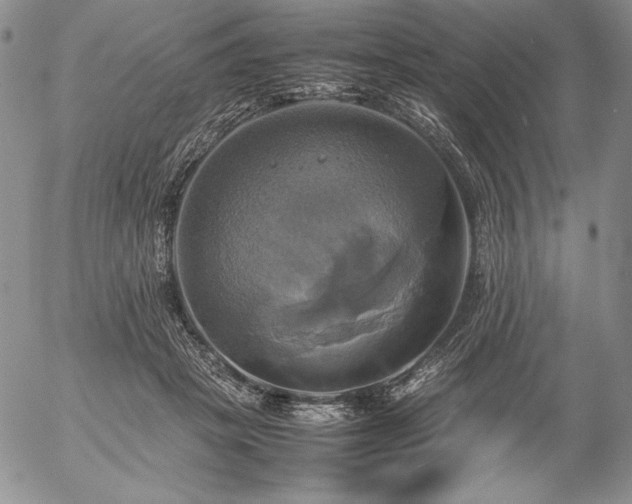 X0000057040457200509091110