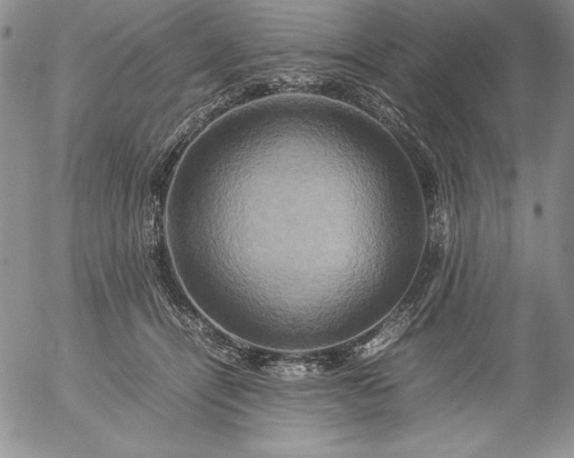 X0000057040464200509091111