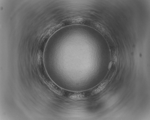 X0000057040468200509091111