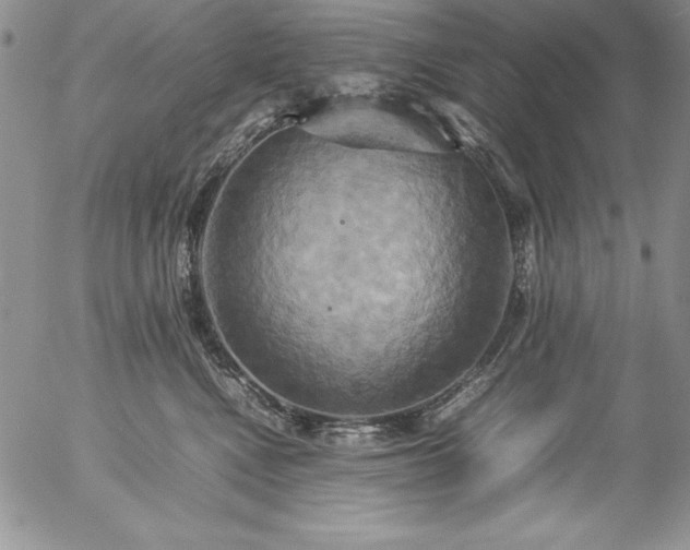 X0000057040472200509091111
