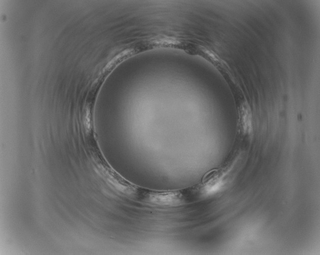 X0000057040479200509091111