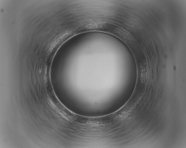 X0000057040490200509091110