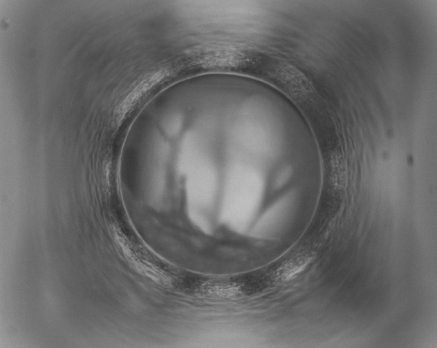X0000057040491200509091110