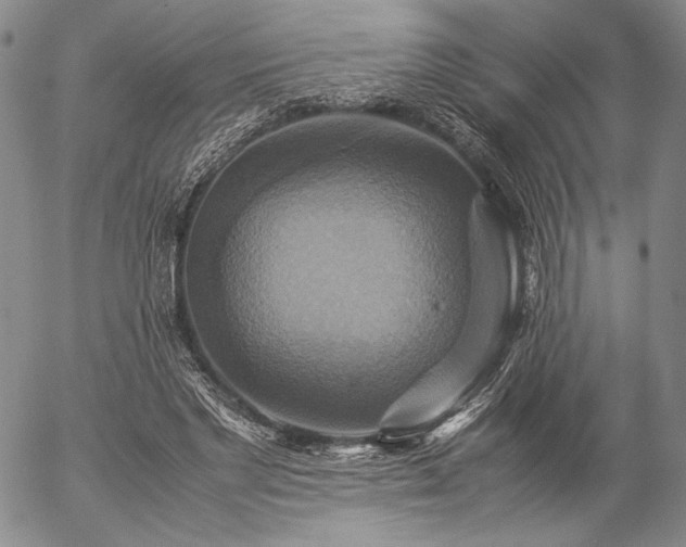 X0000057040493200509091110