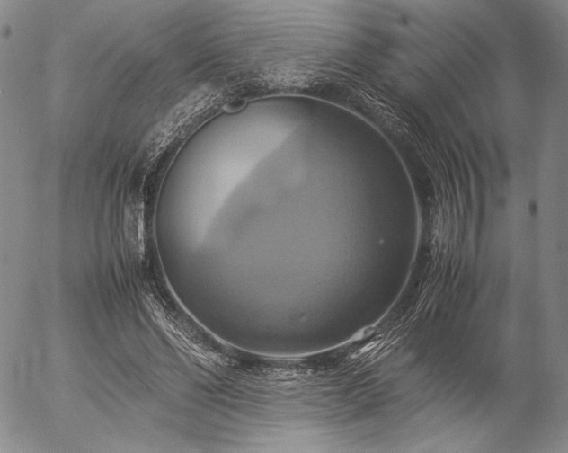 X0000057040494200509091110