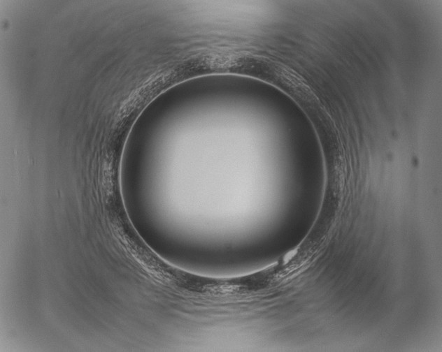 X0000057040497200509091110