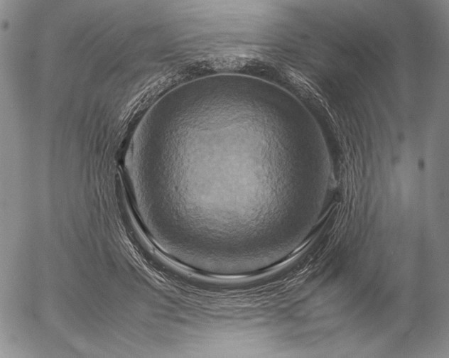 X0000057040501200509091110
