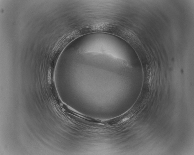 X0000057040502200509091110