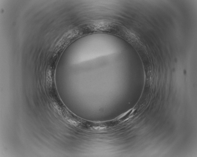X0000057040506200509091110