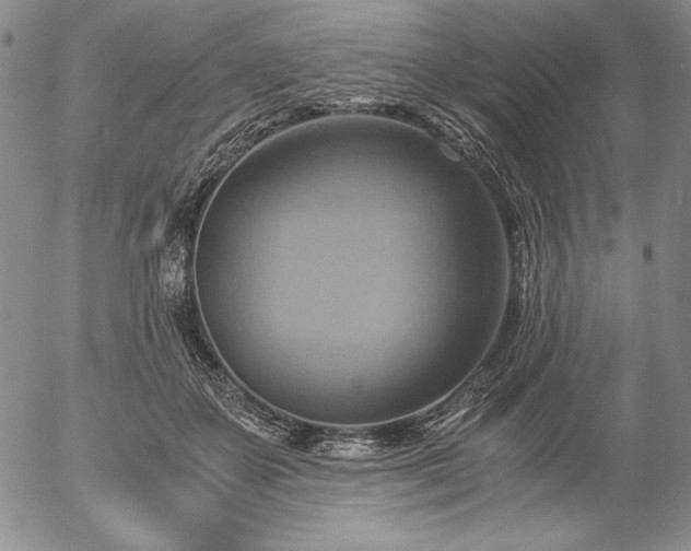 X0000057040507200509091110